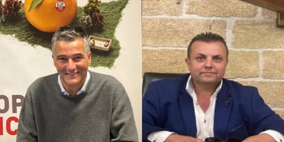 Siccità, l'Arancia Rossa di Sicilia Igp e di Ribera Dop chiedono aiuti immediati